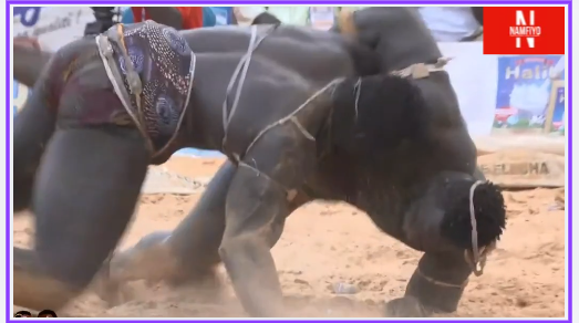 Lutte : Reug Reug s’impose face à Boy Niang 2