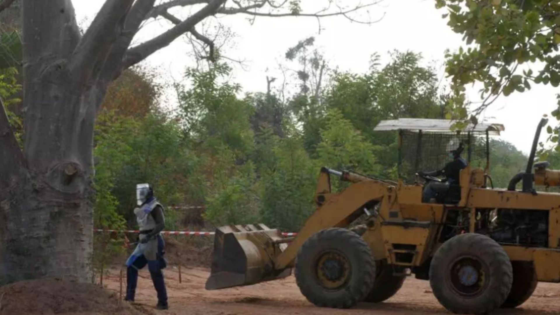 Des opérations de déminage près de Ziguinchor en Casamance, dans le sud du Sénégal, le 30 mai 2011. © SEYLLOU DIALLO / AFP Par : RFI